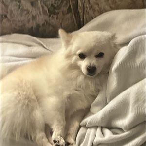 Meet your Posher, Sofie